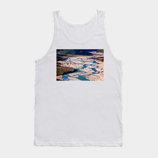 Veins of the Earth Tank Top